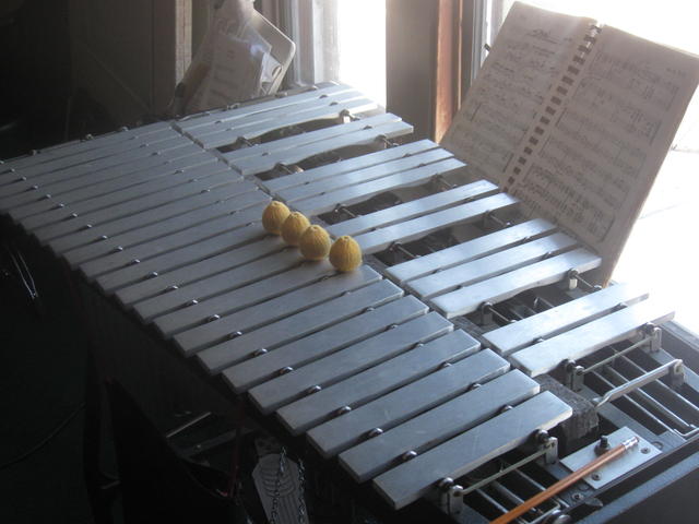 the Ludwig/Musser vibraphone